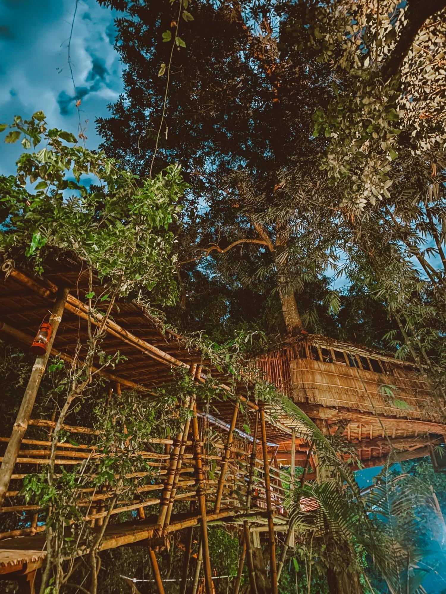Bukit Raya Guesthouse 팔랑카라야 외부 사진