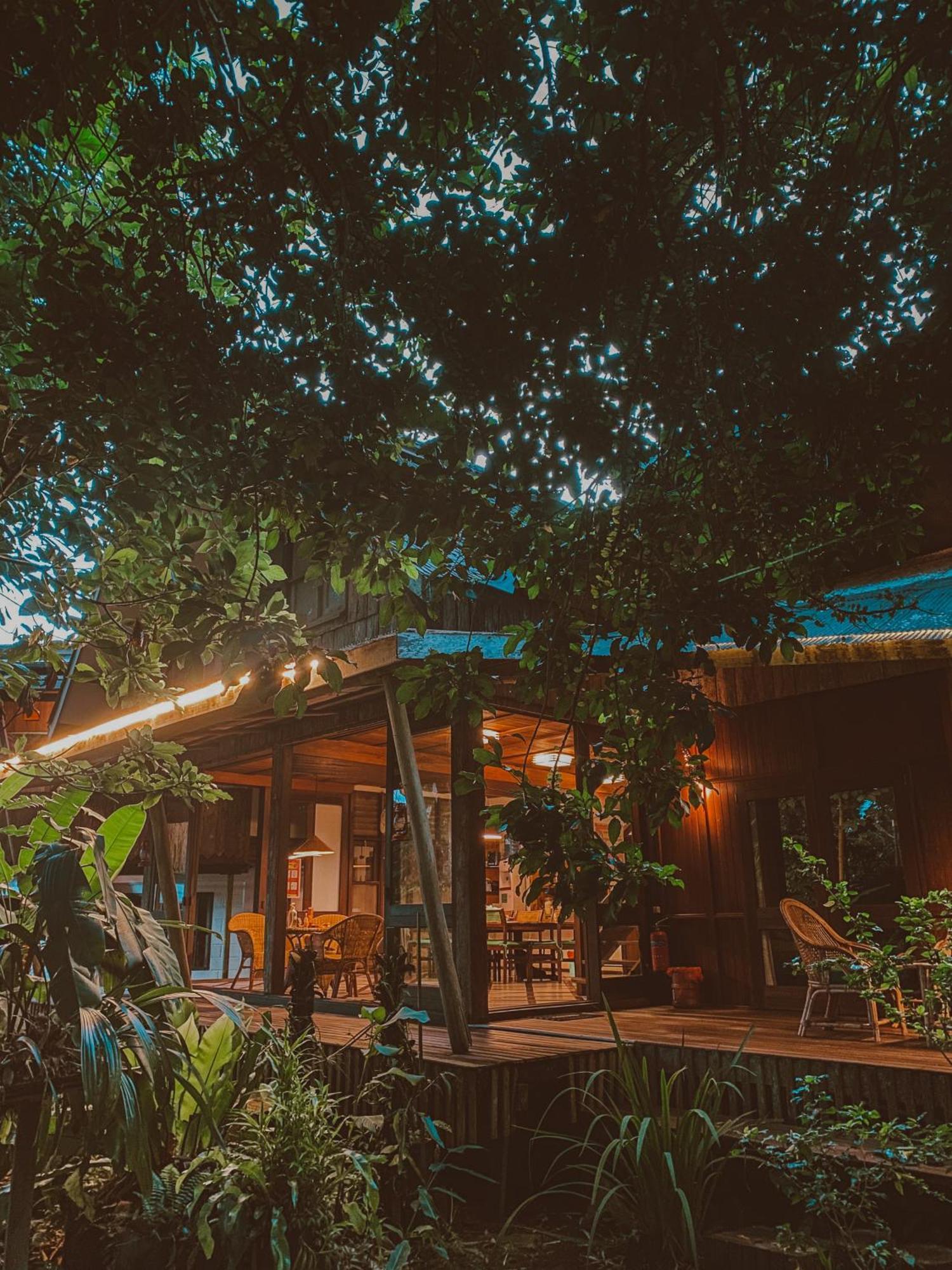 Bukit Raya Guesthouse 팔랑카라야 외부 사진